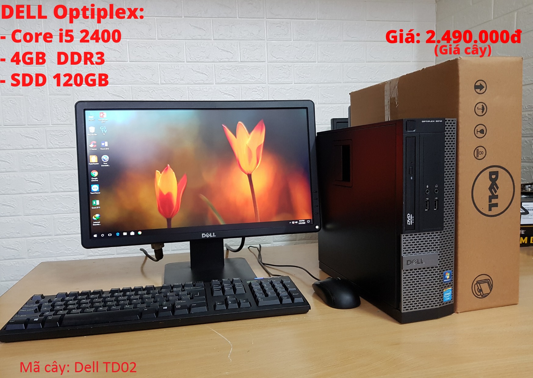 Tâm Đạt PC - Siêu Thị Máy Tính - Home