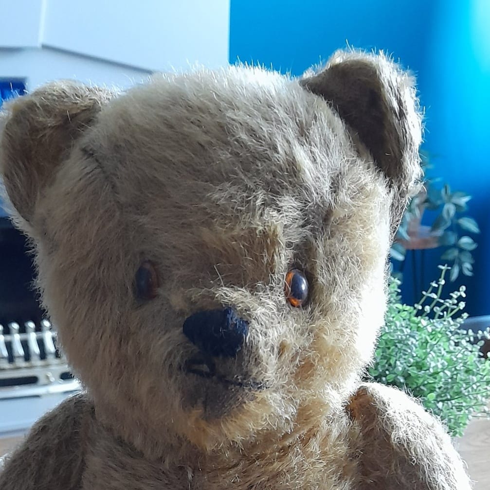 What are vintage alpha farnell bears with safety eyes?