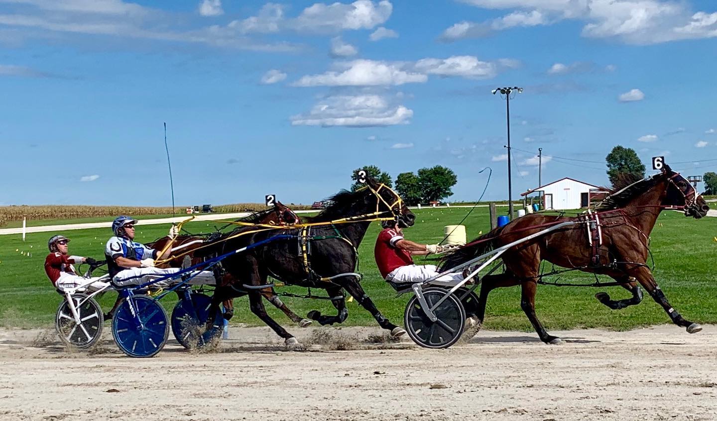 I'M ON A TERROR... - Iowa Harness Horseman's Association | Facebook