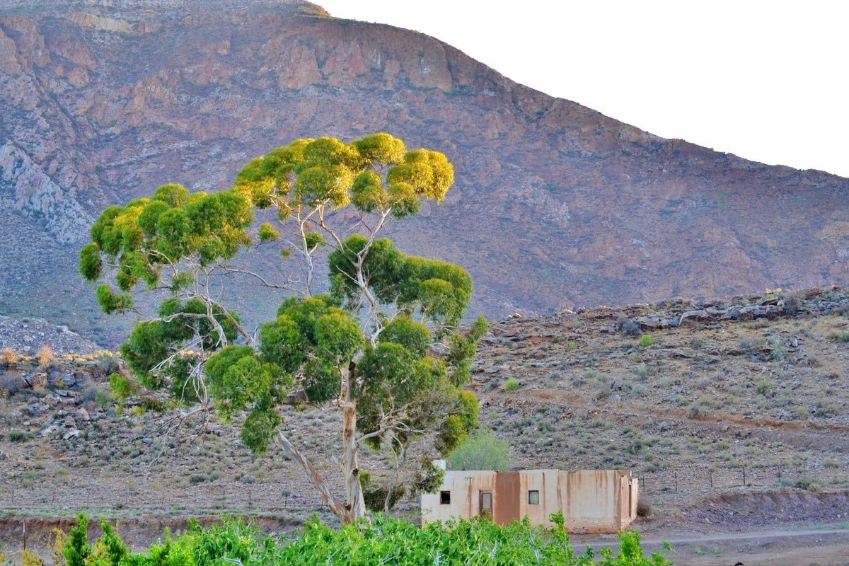 Verruil die swart teerpad-riviere en... - Lekkeslaap.co.za | Facebook
