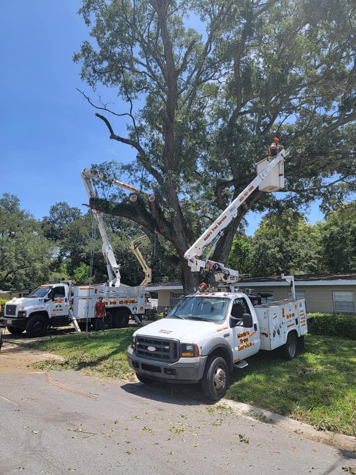Wade’s tree service | Plant City FL