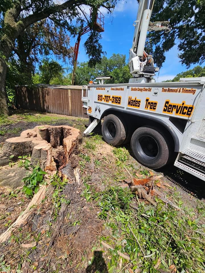 Wade’s tree service | Plant City FL