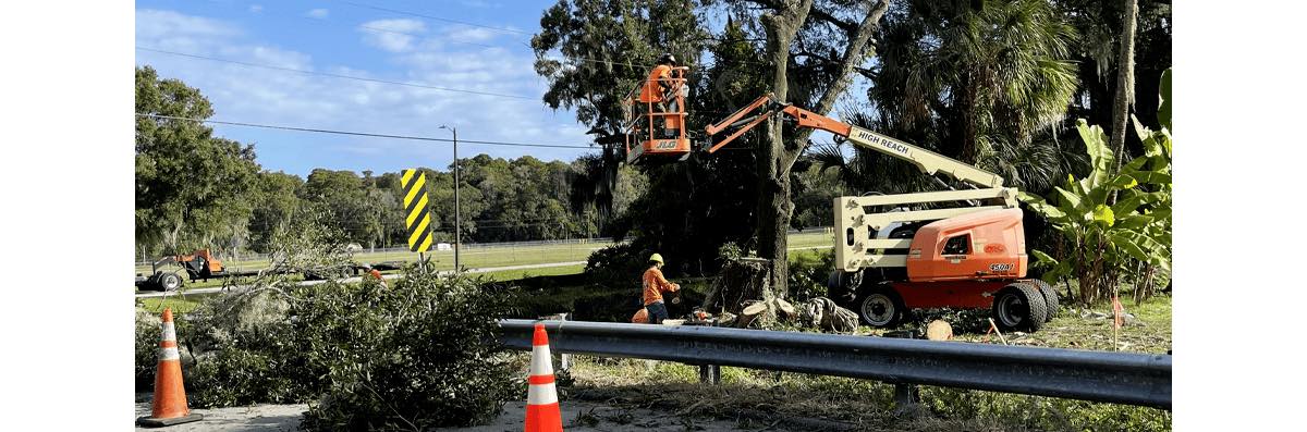 Wade’s tree service | Plant City FL