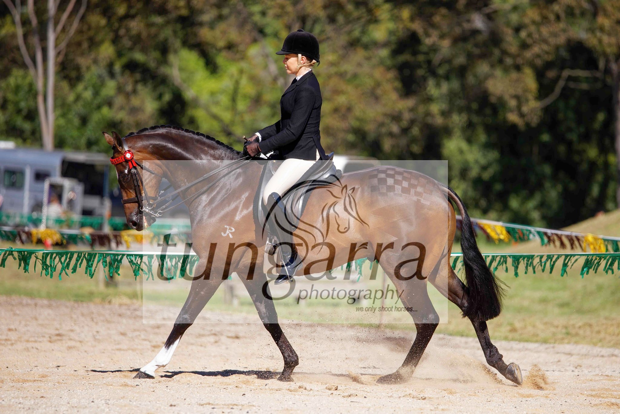 Tungarra Stud & Photography