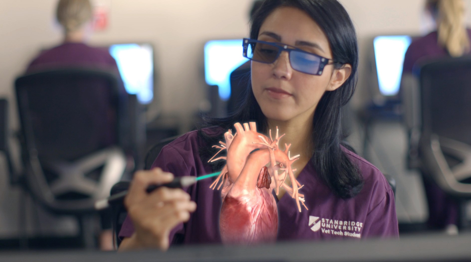 Here in the immersive Virtual... - Stanbridge University