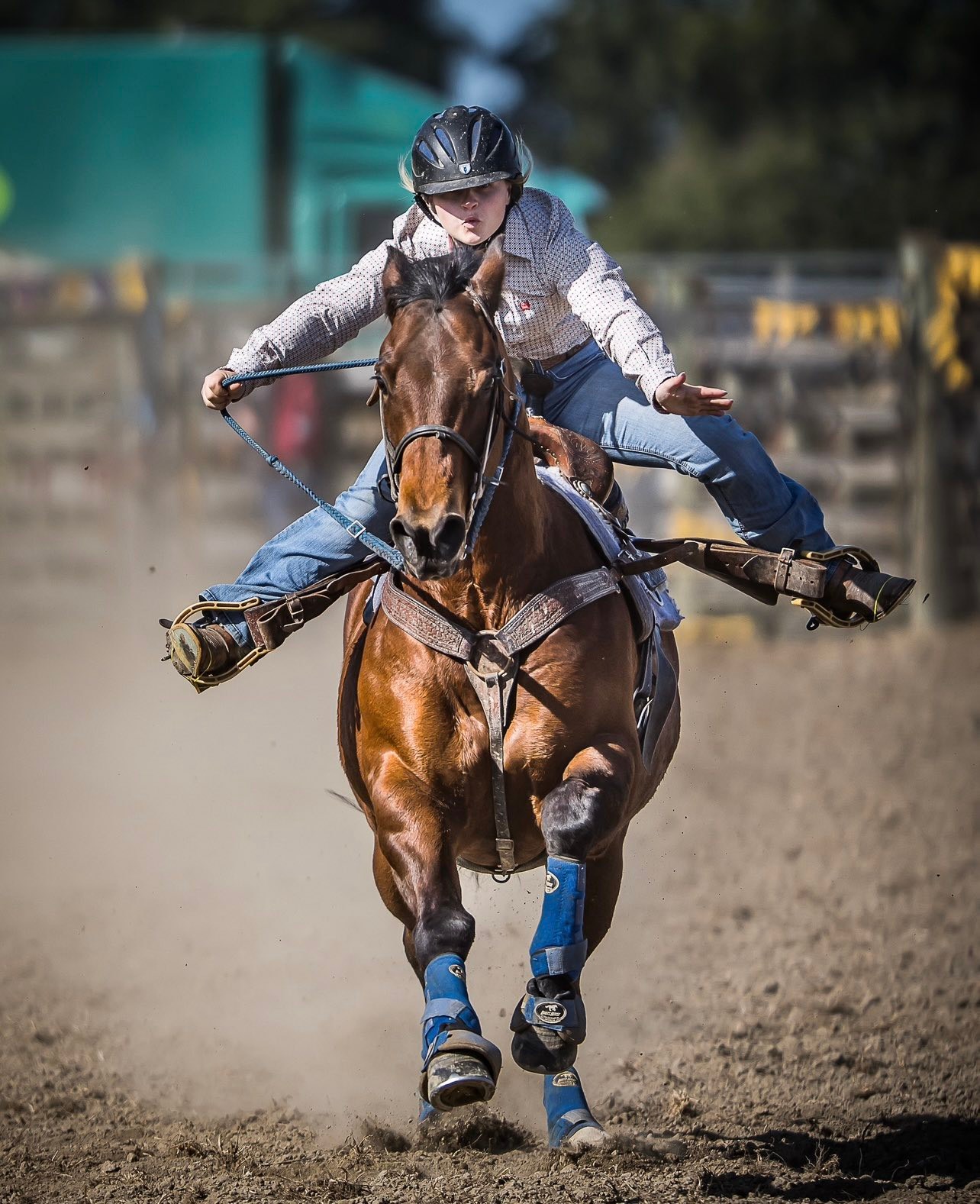 This is Lilly Dale and this is her... - NZ Rodeo Cowboys | Facebook