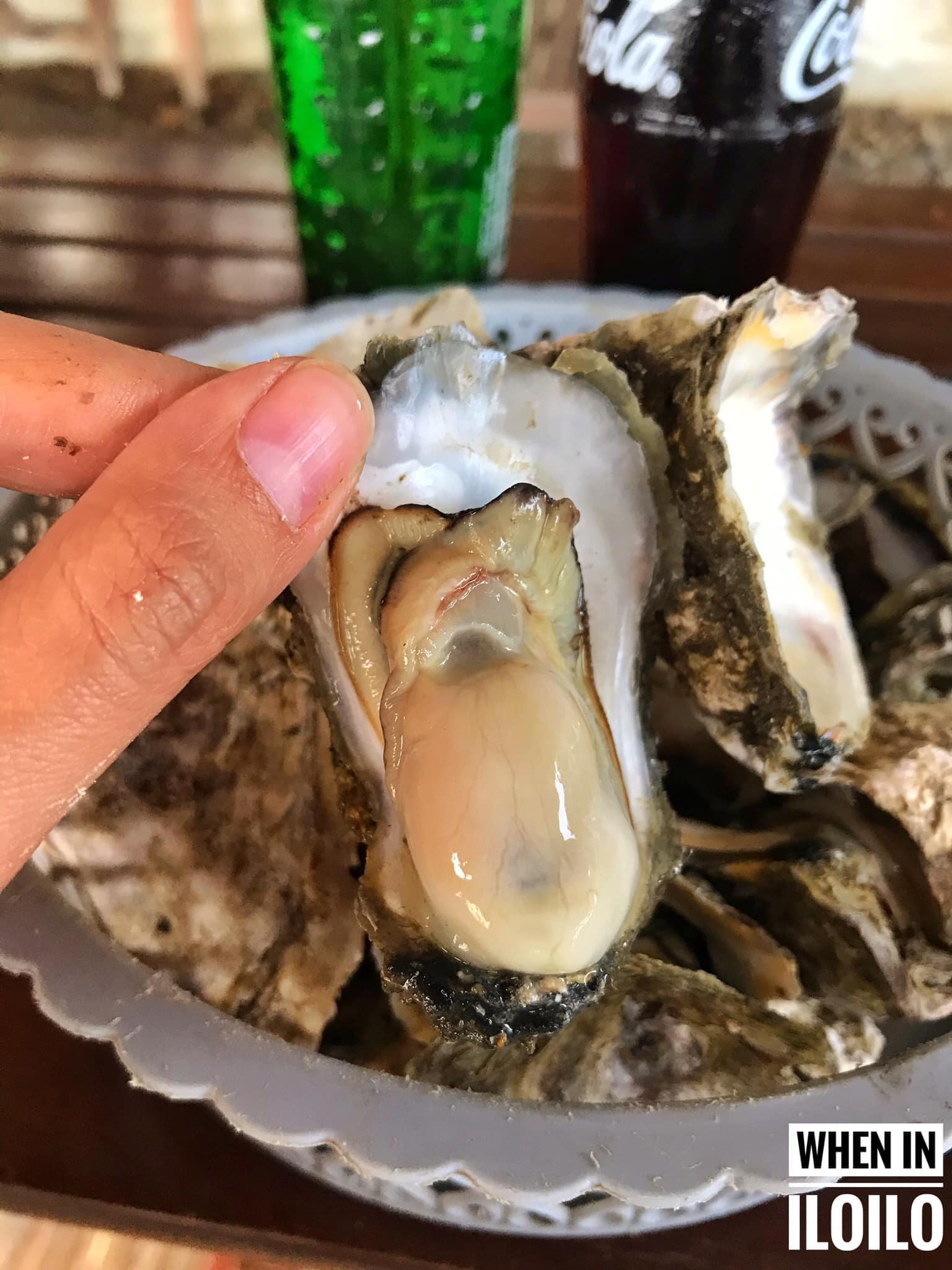 When in Iloilo - Seafood in Iloilo: Shells 🐚😋 Anu ang... | Facebook