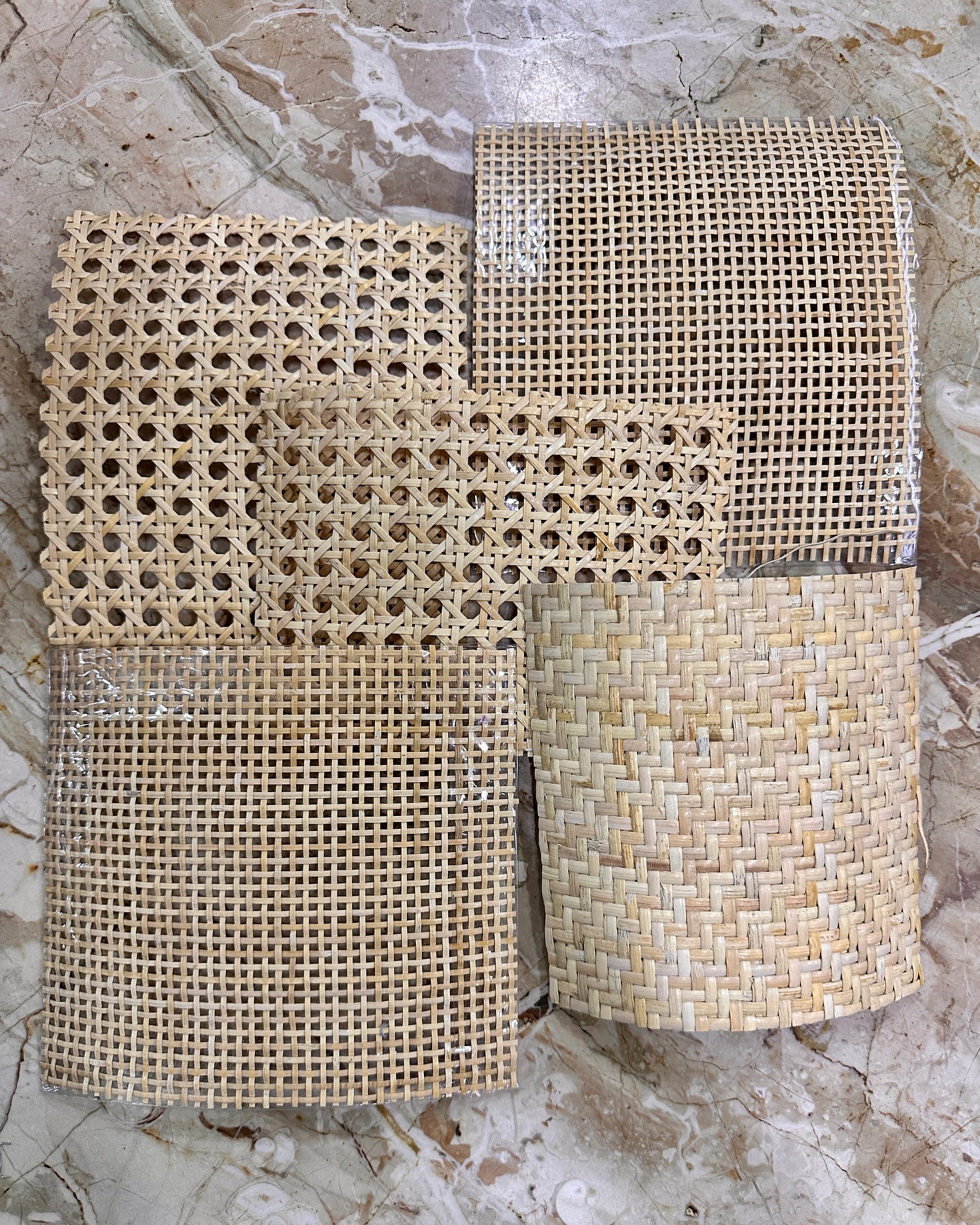 Rattan - Unveiling the beauty of diversity with our stunning rattan ...
