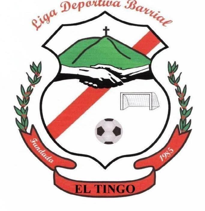 Liga Barrial San Pedro Del Tingo