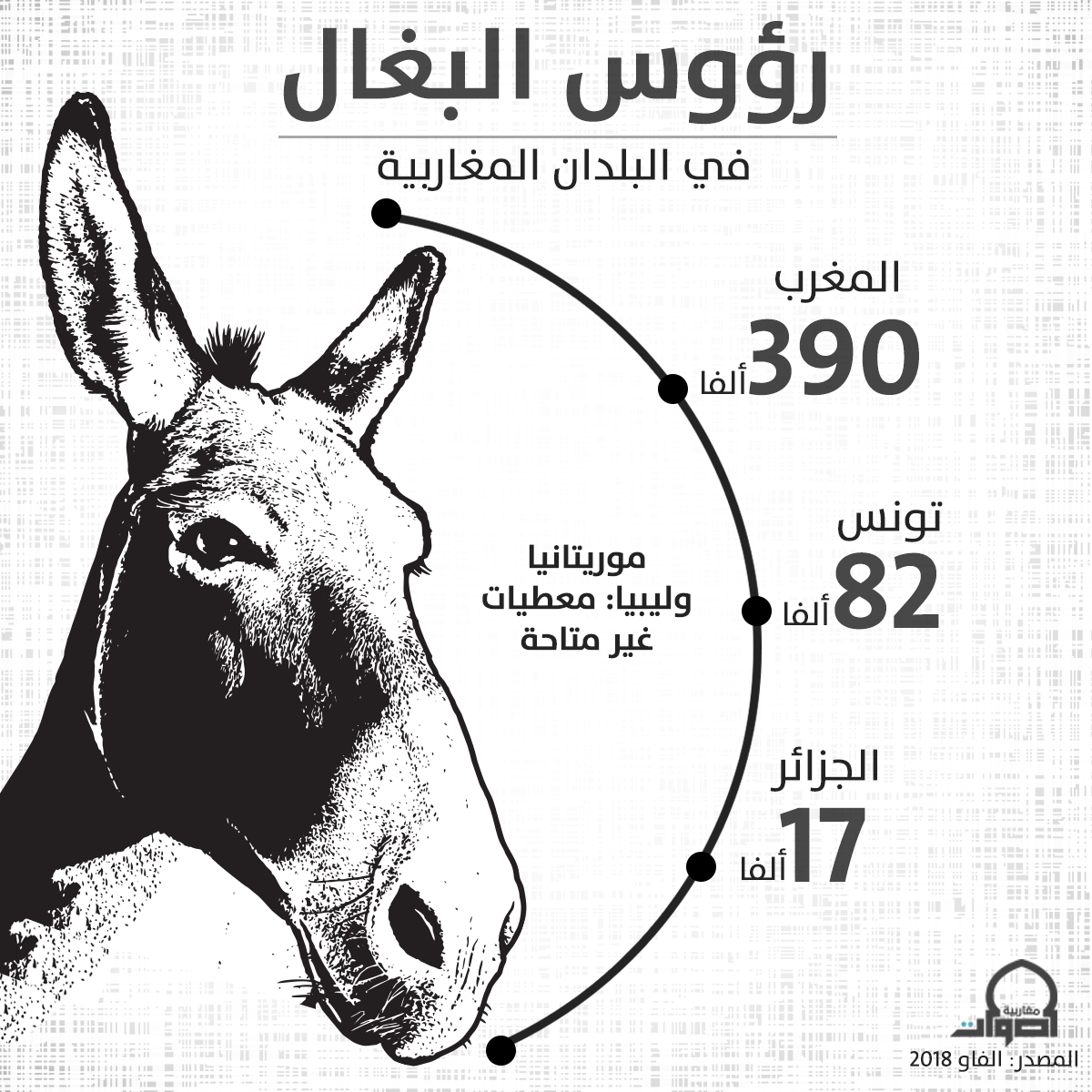 عدد رؤوس البغال في البلدان... - أصوات مغاربية Maghreb Voices | Facebook