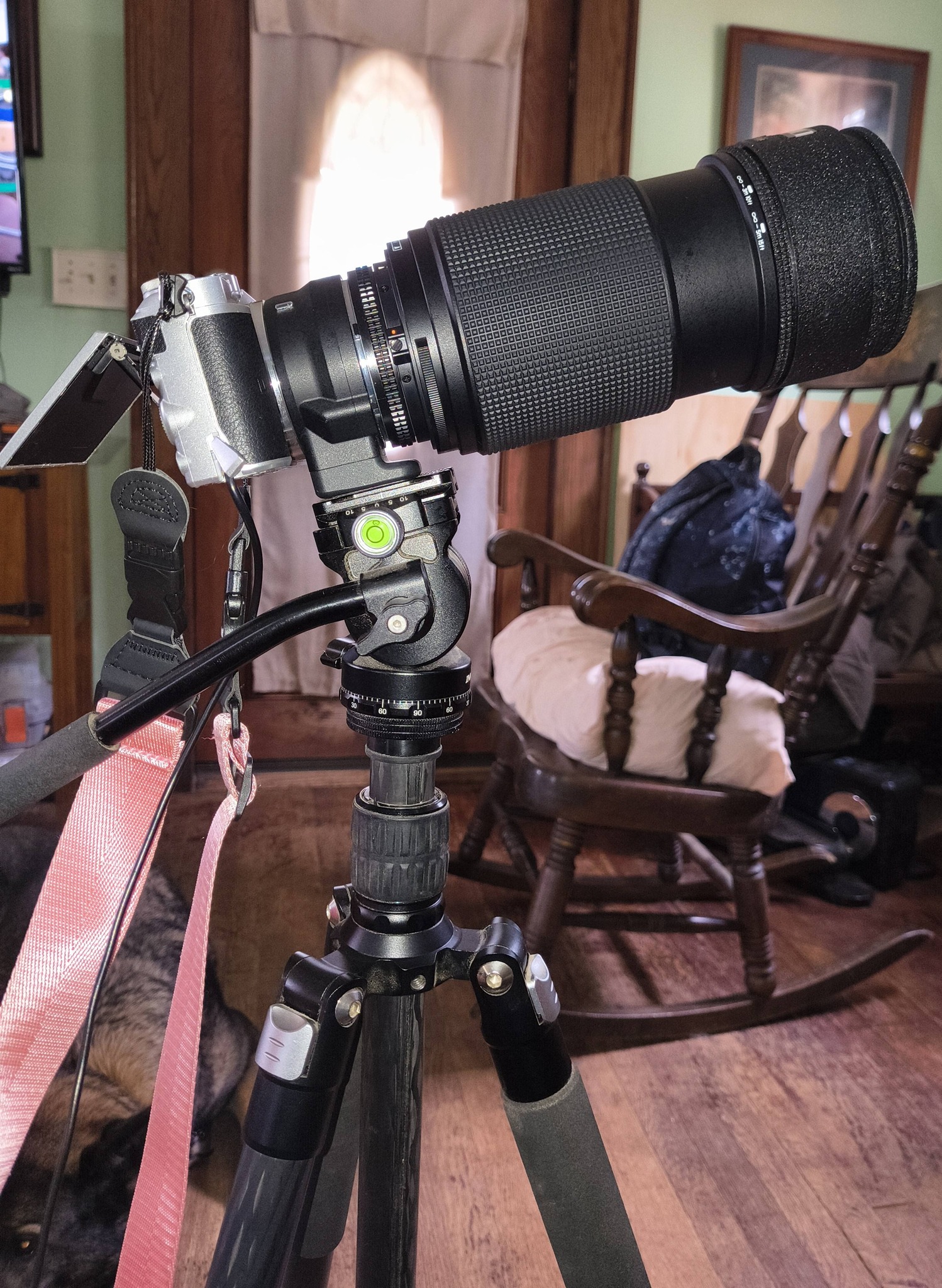 Nikon Zoom Nikkor 80-200 mm Lenses Comparison and User Experiences