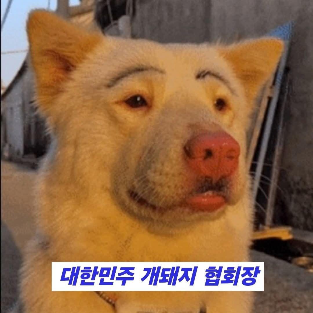 신용우 - 물론 대법원장이 대통령 하수인은 아닙니다. 조지연의원님께 묻습니다 경선끝나자마자 어떻게든... | Facebook