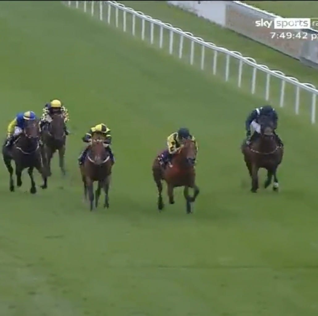 Richard Price Horseracing | Hereford