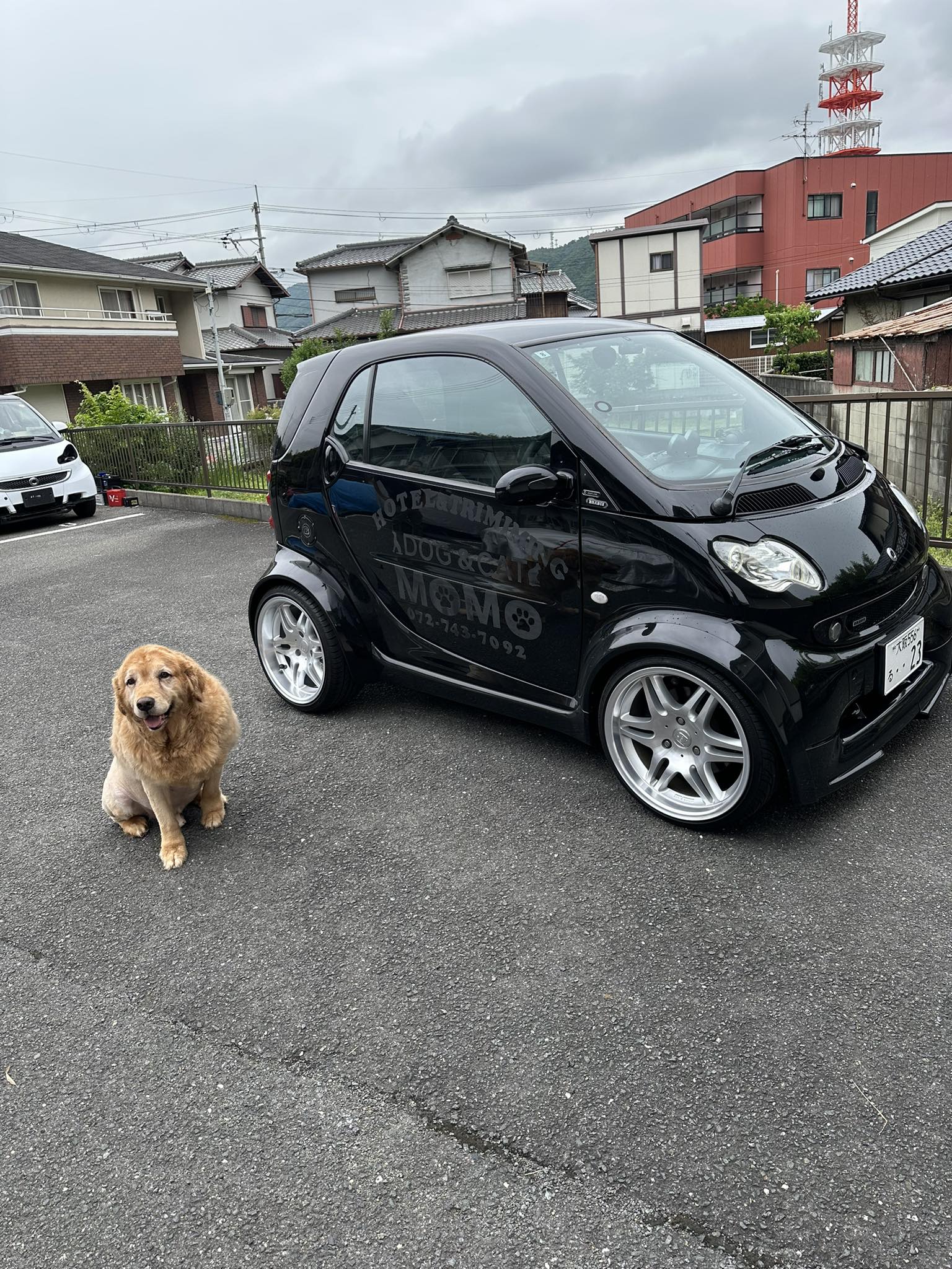 Tuned & Modified 450 Smart Car Owners Club | Facebook