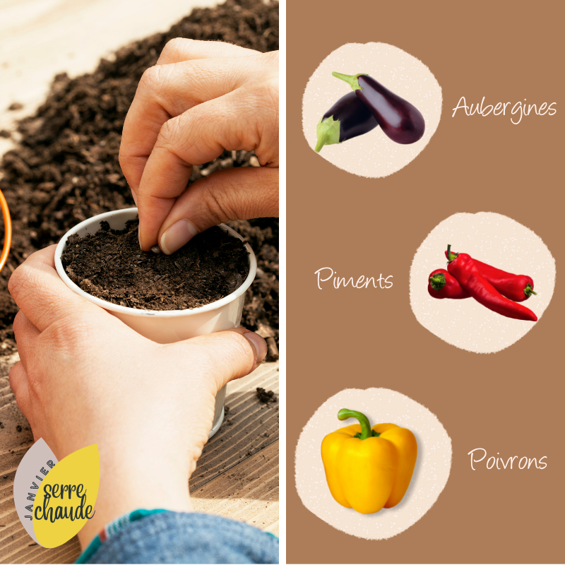 Jardinerie Labrousse agri services | Saint-Laurent-sur-Manoire