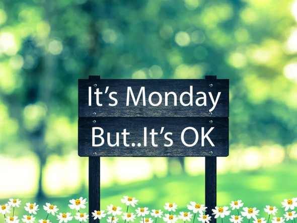 Bumps and Babes - Happy Monday 😃 Start your week with a...