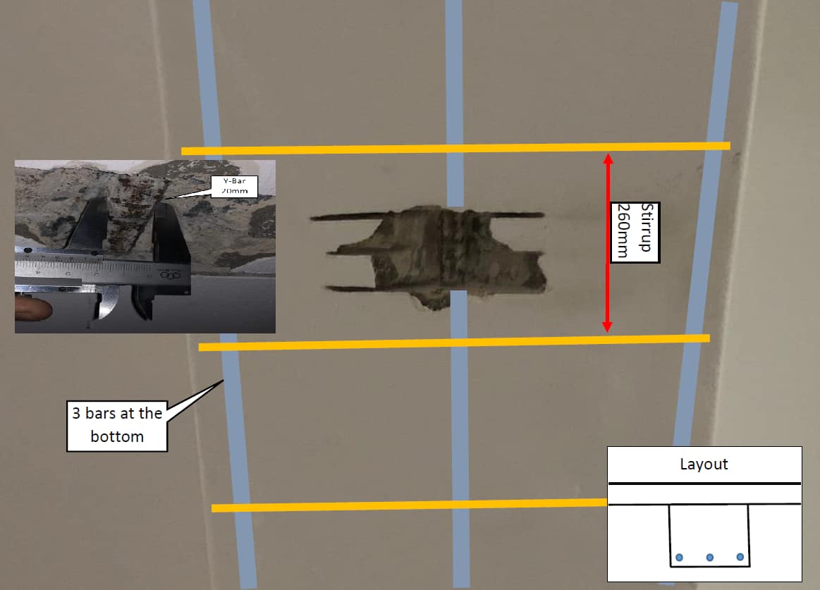 Structure Scan CC | Tarlton