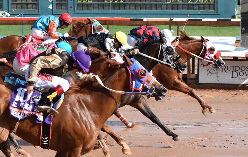 Q-Racing - Mr Jess Jenkins, winner of the $3 million All...