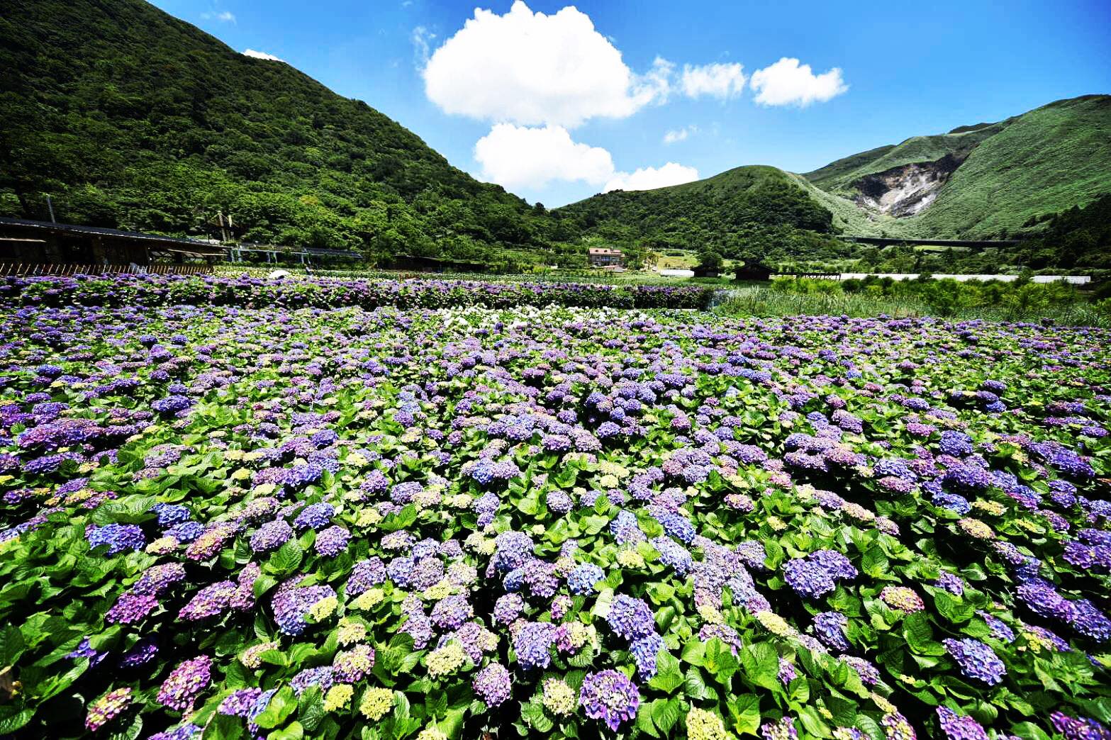 【哩程大玩家｜Klook 夏日消暑親子活動有里數】... - Asia Miles / 亞洲萬里通 | Facebook