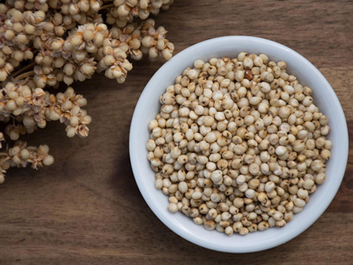 Soriz Sorgul este o... - Produse fără Gluten România | Facebook
