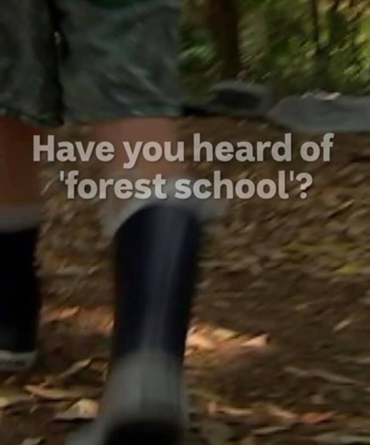 Victorian Parents Council Forest Schools A Growing Alternative For Parents Wanting Less Screen Time For Kids Abc News Some Parents Are Fed Up With Screen Time And Indoor Activities And