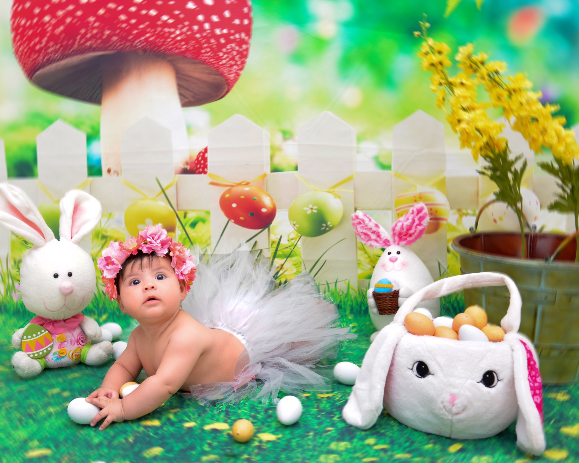 Inalvi's Photo Studio & Baby 3D