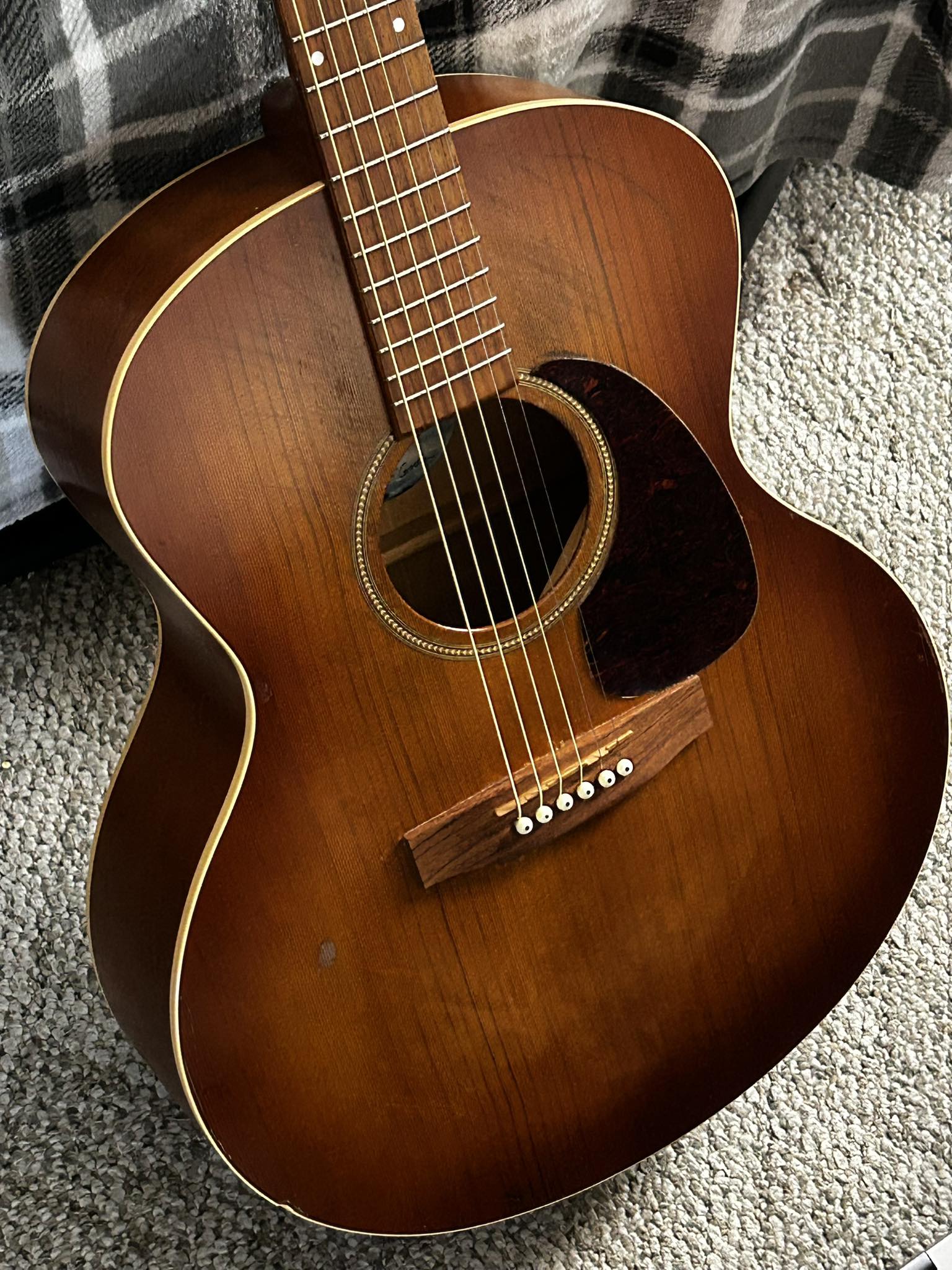 ギター Seagull Walnut Mini Jumbo Isys+ Seagull Guitars Excursion