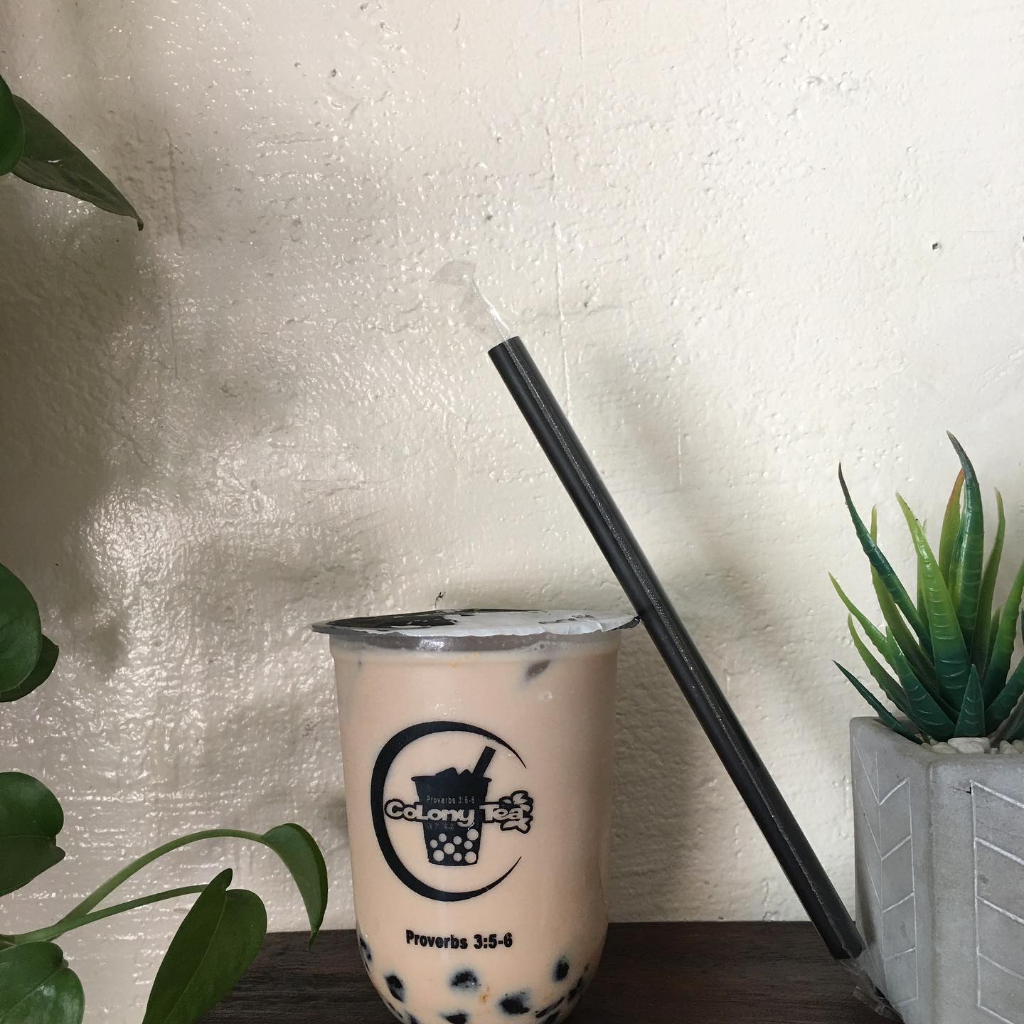 Colony Tea Del Gallego Camarines Sur