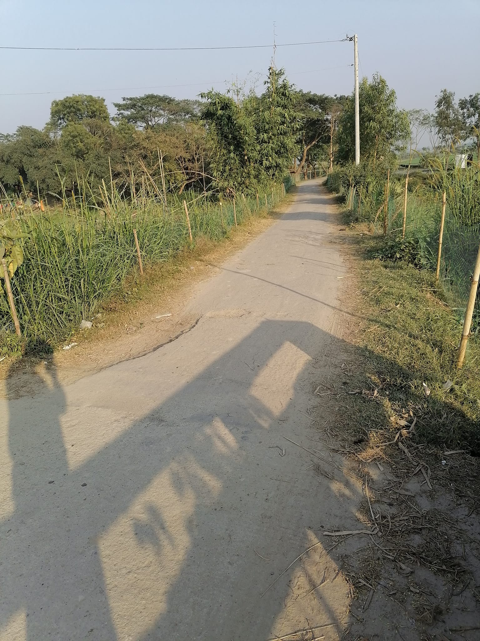 Sadhon Raj