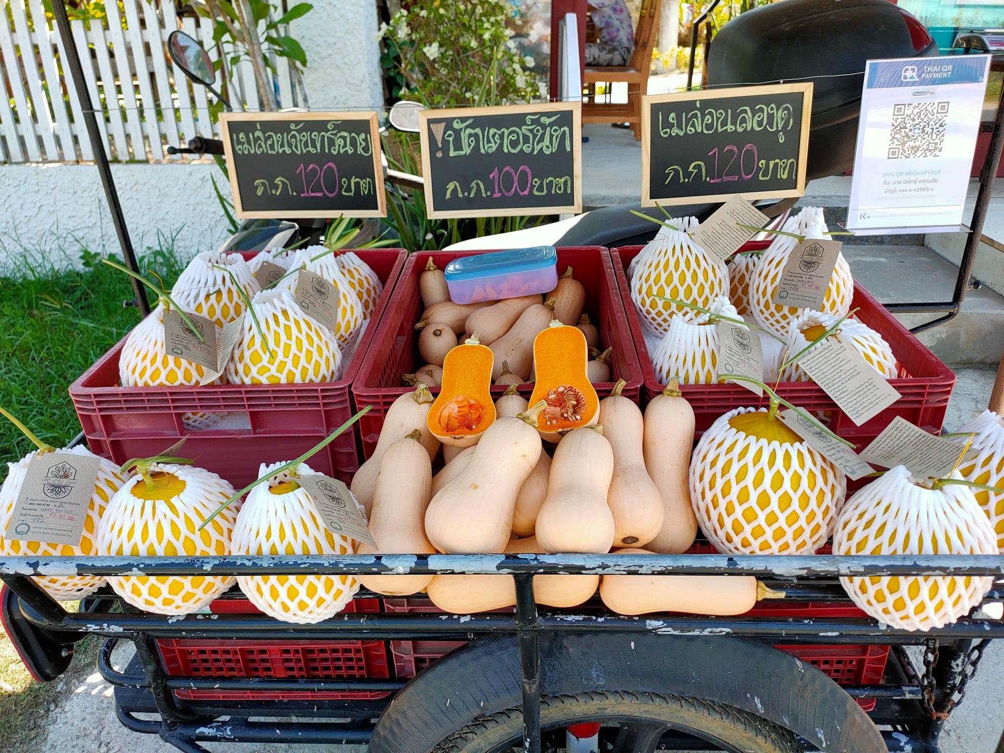 แวะอุดหนุนกันได้นะครับ... - Grow delicious farm ปลูกฟาร์มอร่อย | Facebook