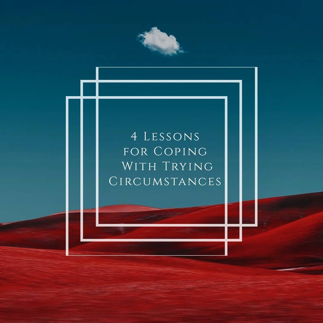 infocusmagazine - Contrary to what many people think, it is not ...