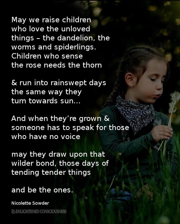 Drummond Montessori