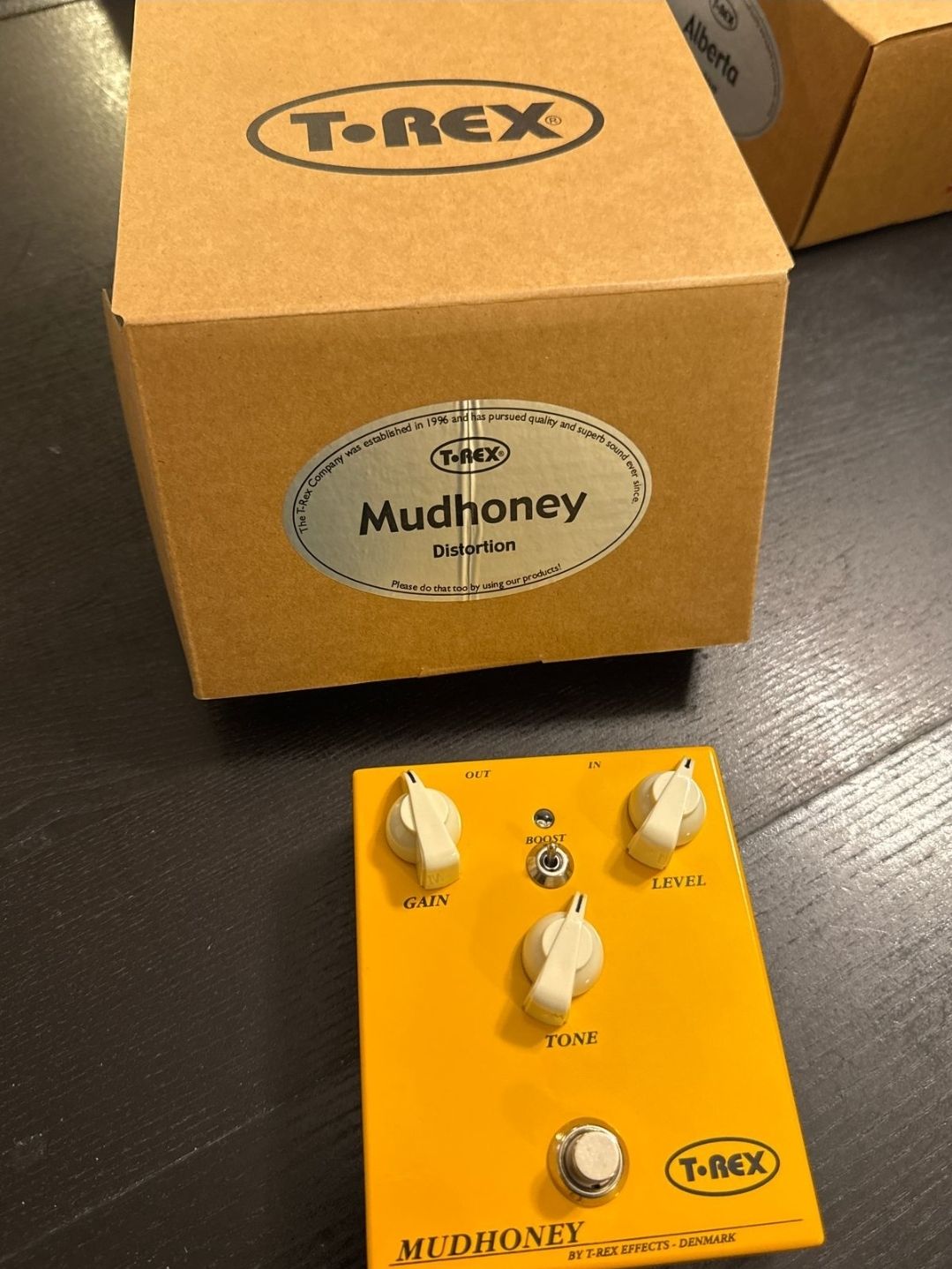 Trying out the T-REX Mudhoney Distortion pedal