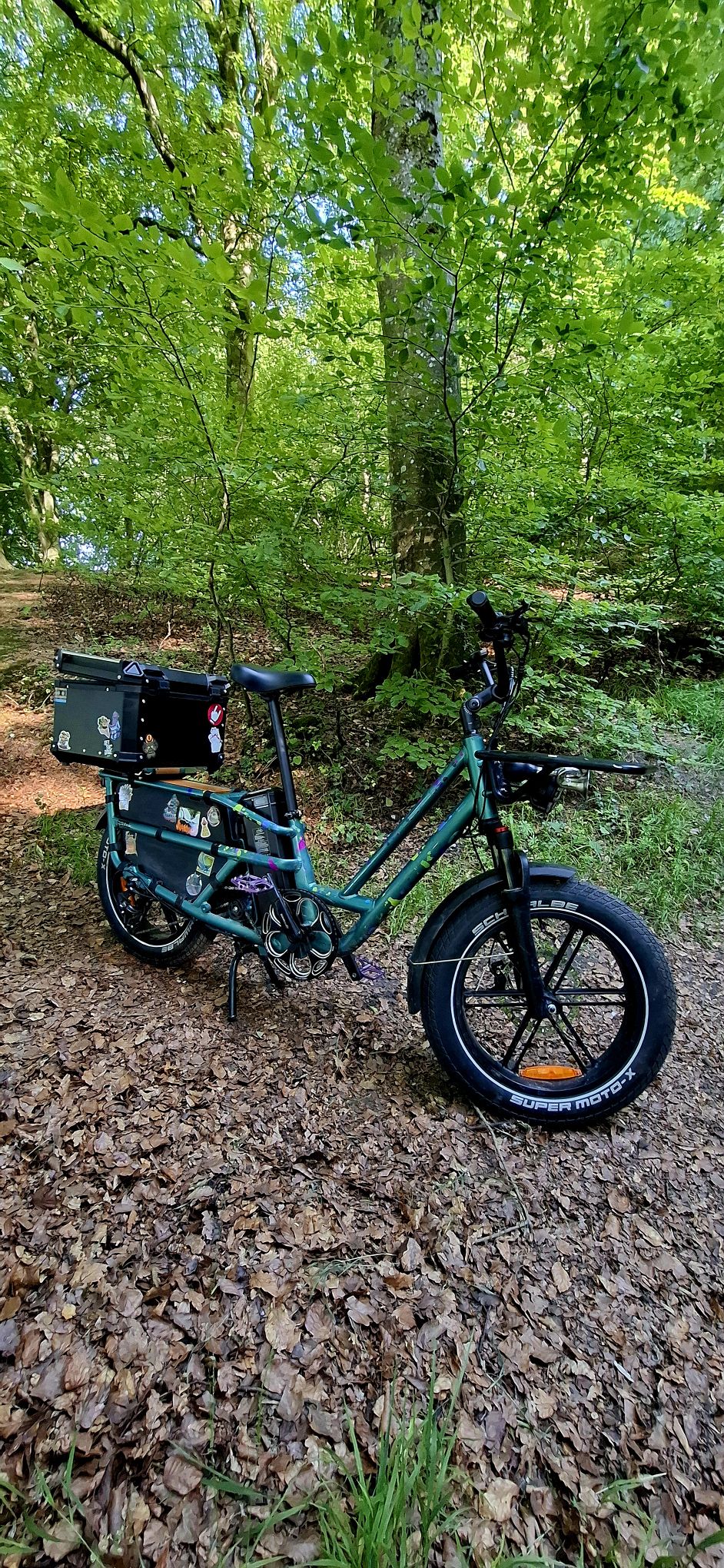 Fiido T2 electric cargo ebike modifications and review