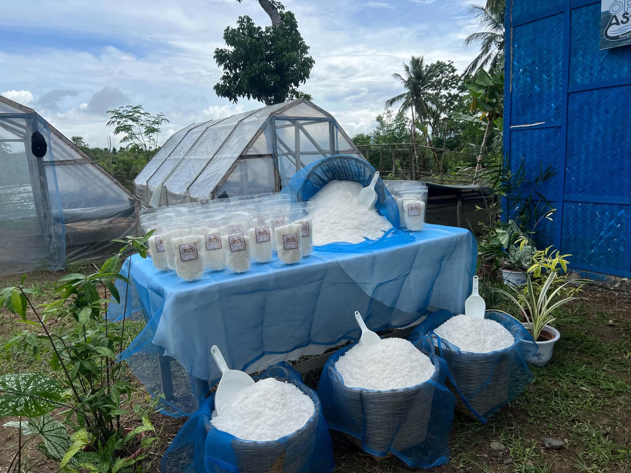Development of SALT Industry Program (DSIP) of BFAR Region 9 for livelihood of Tawagan Sur Muslim Christian Fisherfolk Association headed by President Ms Genoveva Tomaquin and members with the full support of