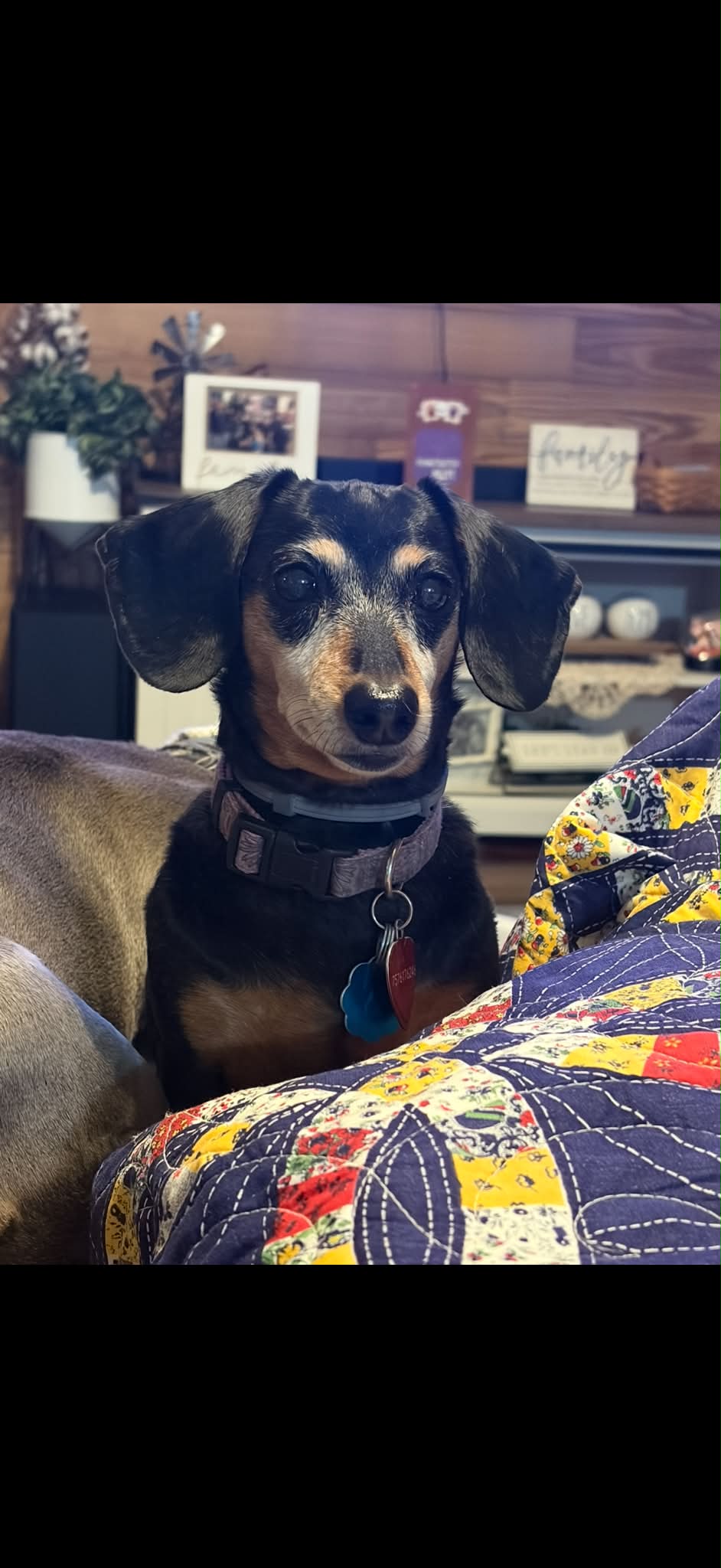 Sophie
