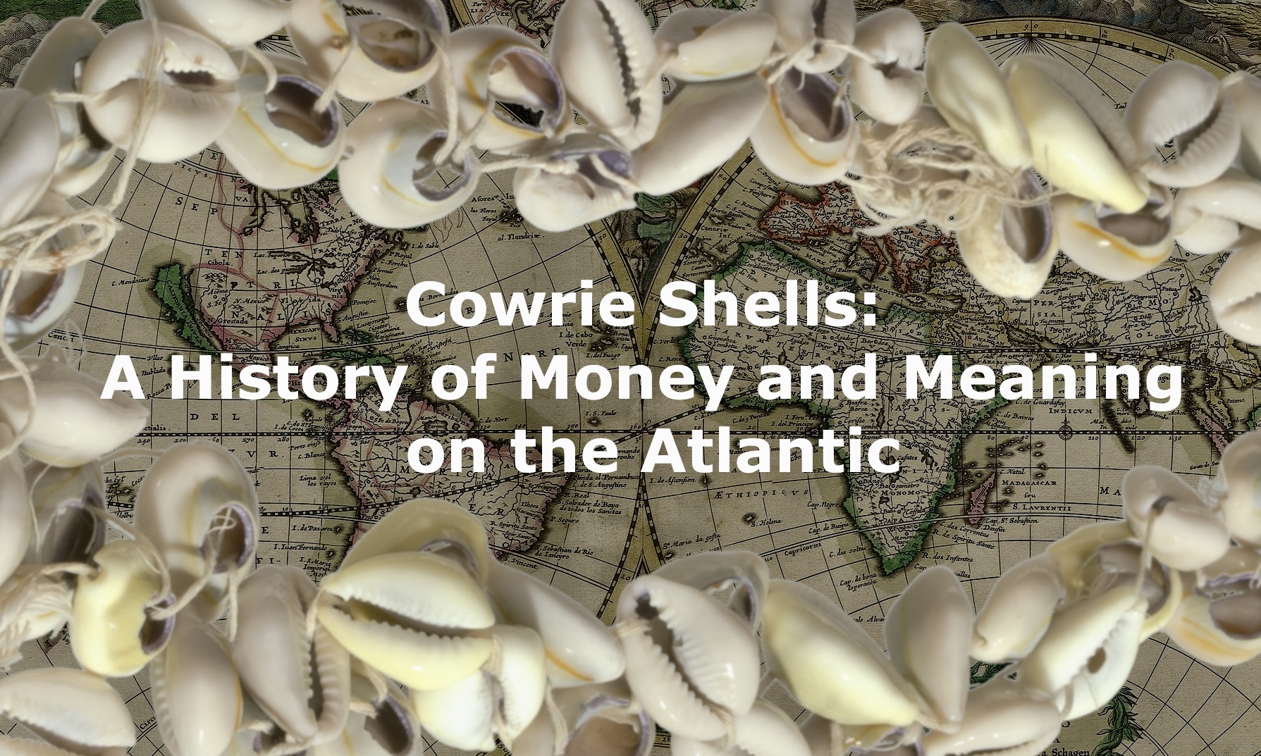 Cowrie Shells: A History of Money and Meaning on the Atlantic