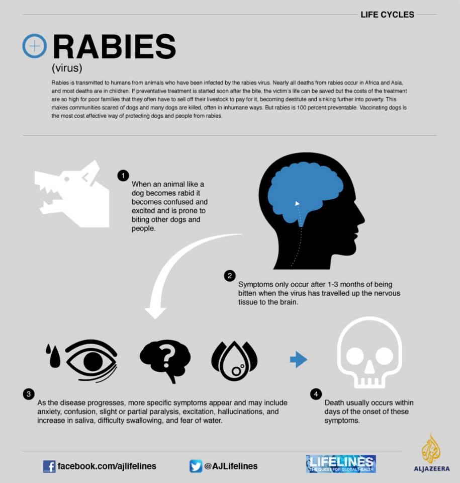 As... - Department of Agriculture-Bureau of Animal Industry
