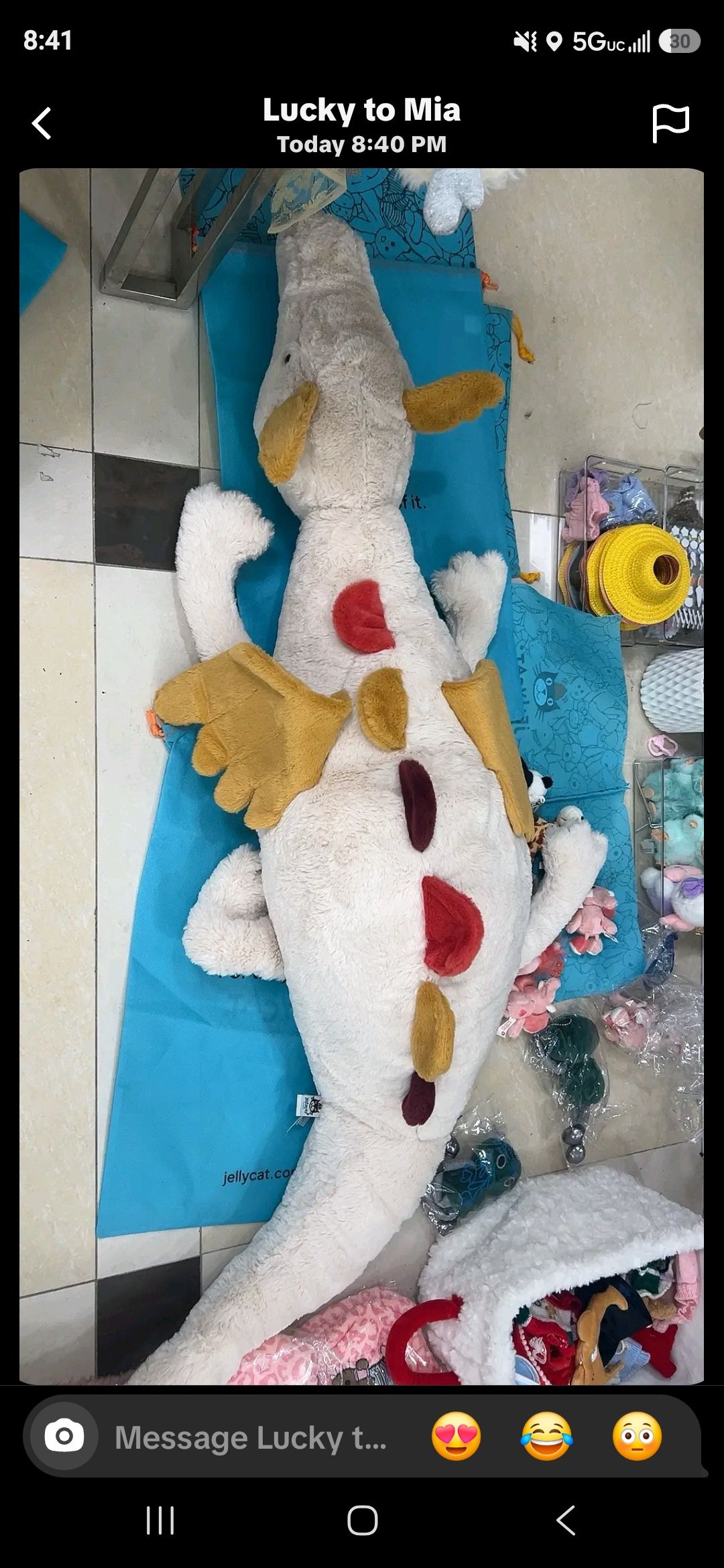 Giant opalite dragon plush, a fake but exciting find for a