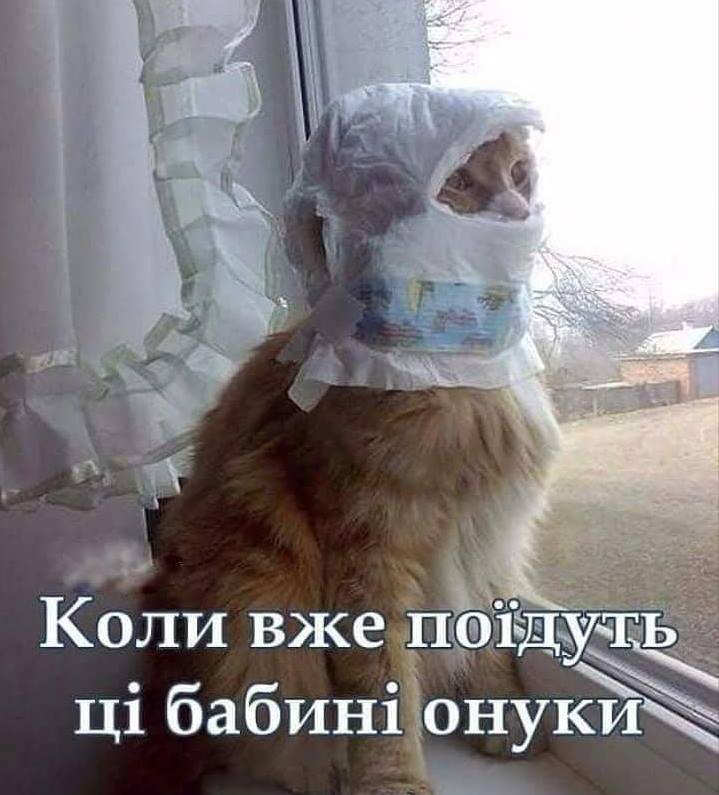 Картинка внуки уехали