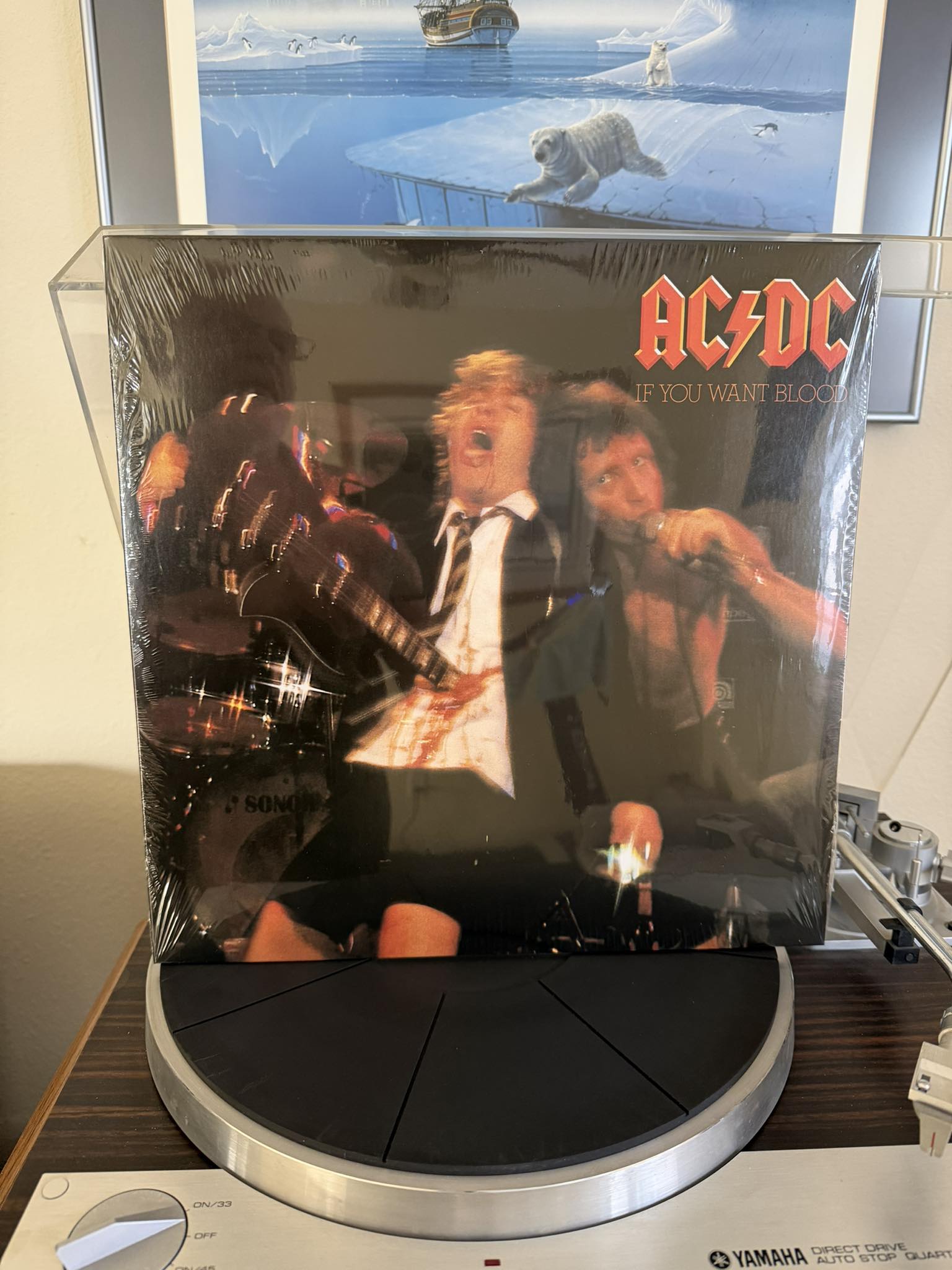 What is the value of a 1978 Dutch splatter ACDC If You Want Blood