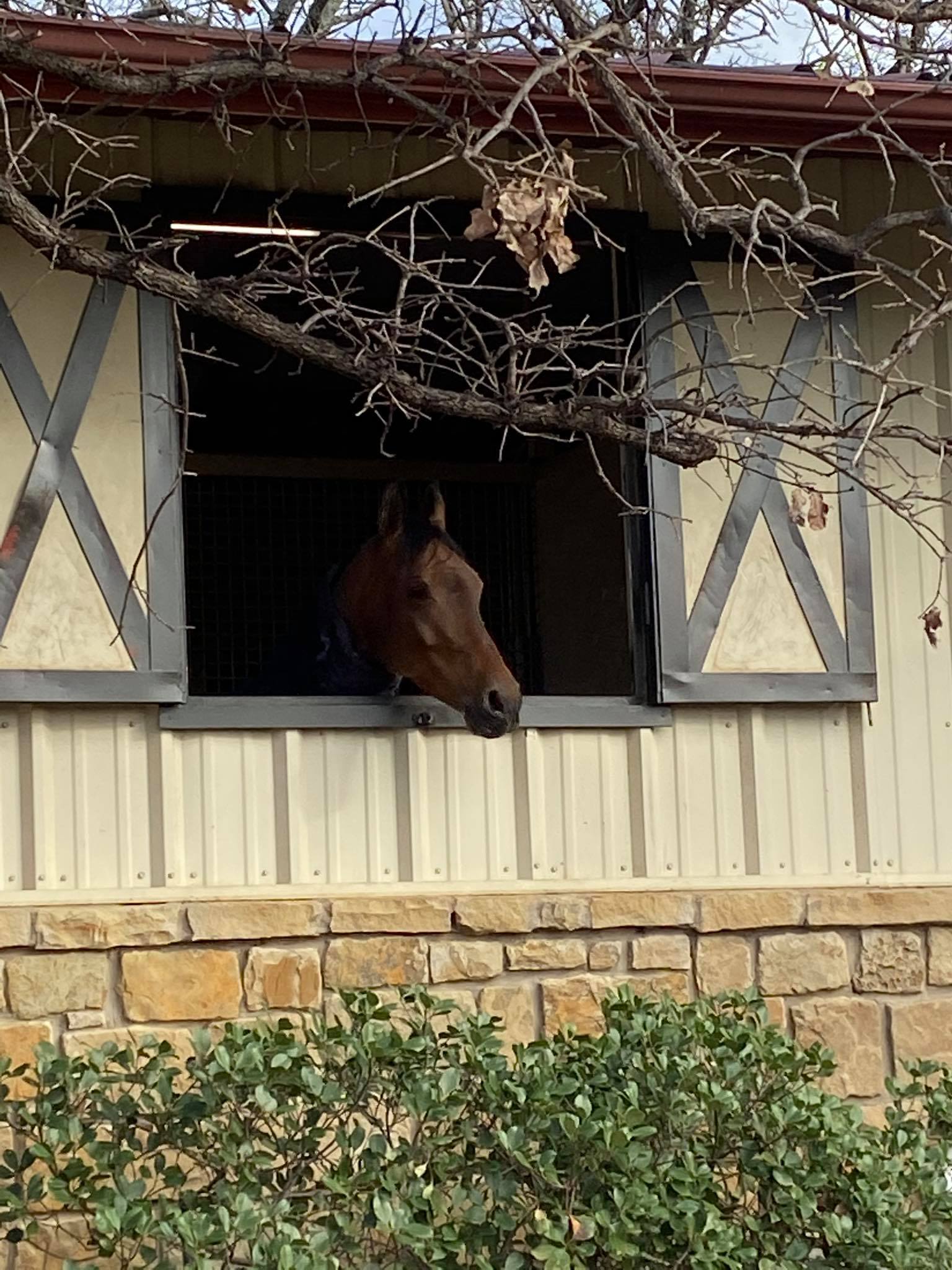 Southern Winds Ranch | Valley View TX