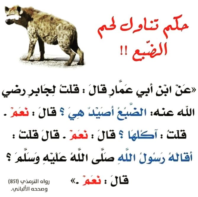 حكم أكل الضبع عند المذاهب الأربعة... - وقل ربّ زدنيِ علما | Facebook