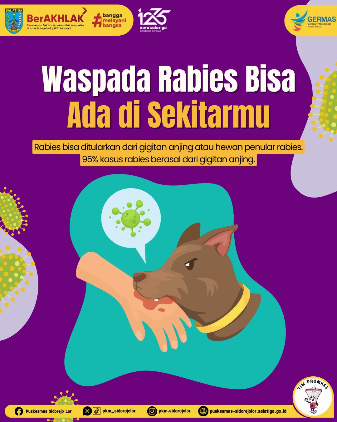 Waspada rabies! Jangan ganggu... - Puskesmas Sidorejo Lor | Facebook