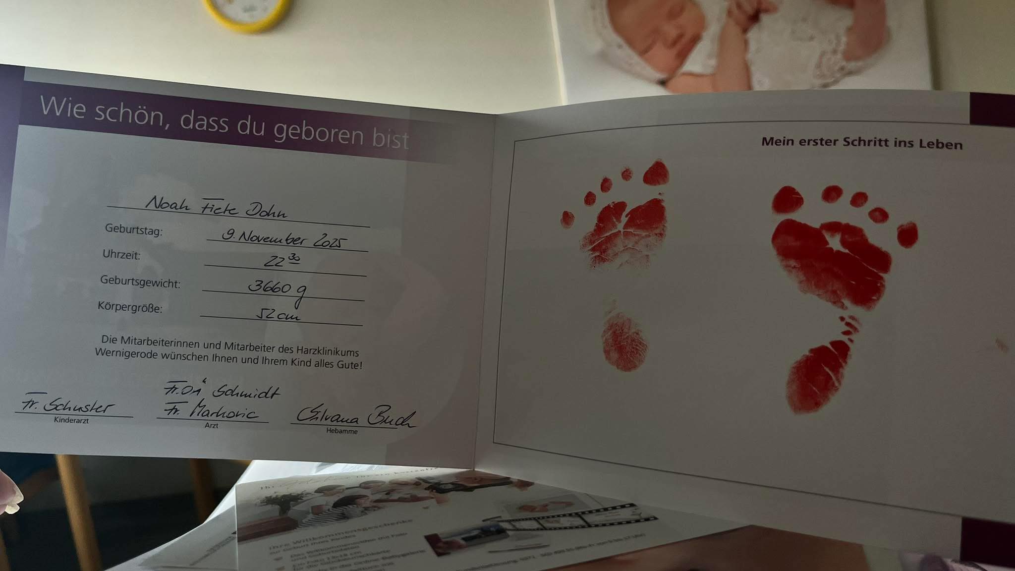 Anna-Maria Dohn