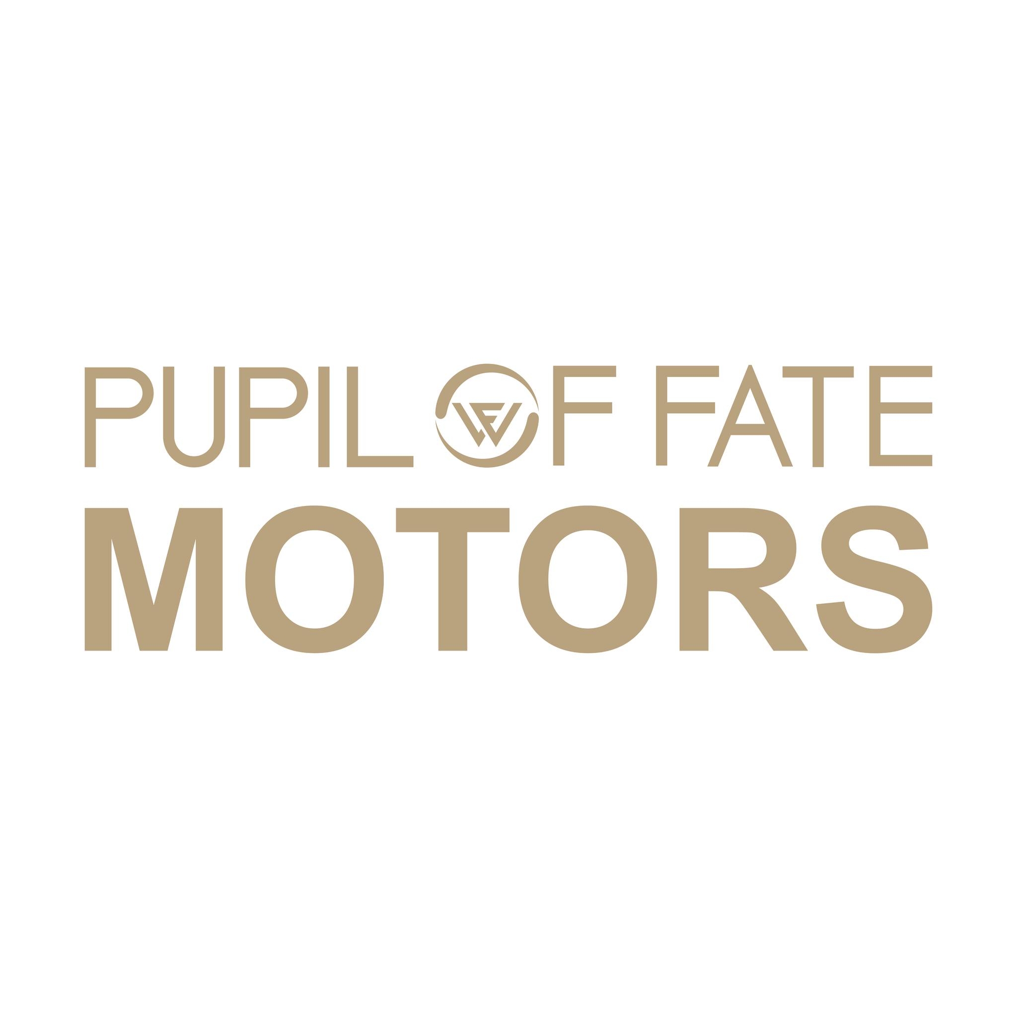 The Mini 4WD Grand Prix 2026 at Pupil of Fate Motors was one for the ...