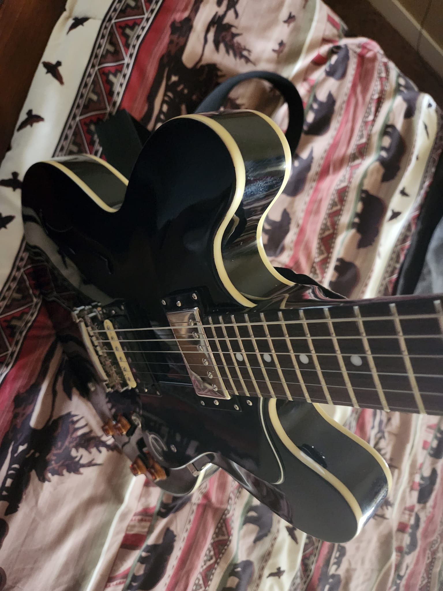 Customized Epiphone Dot for blues playing