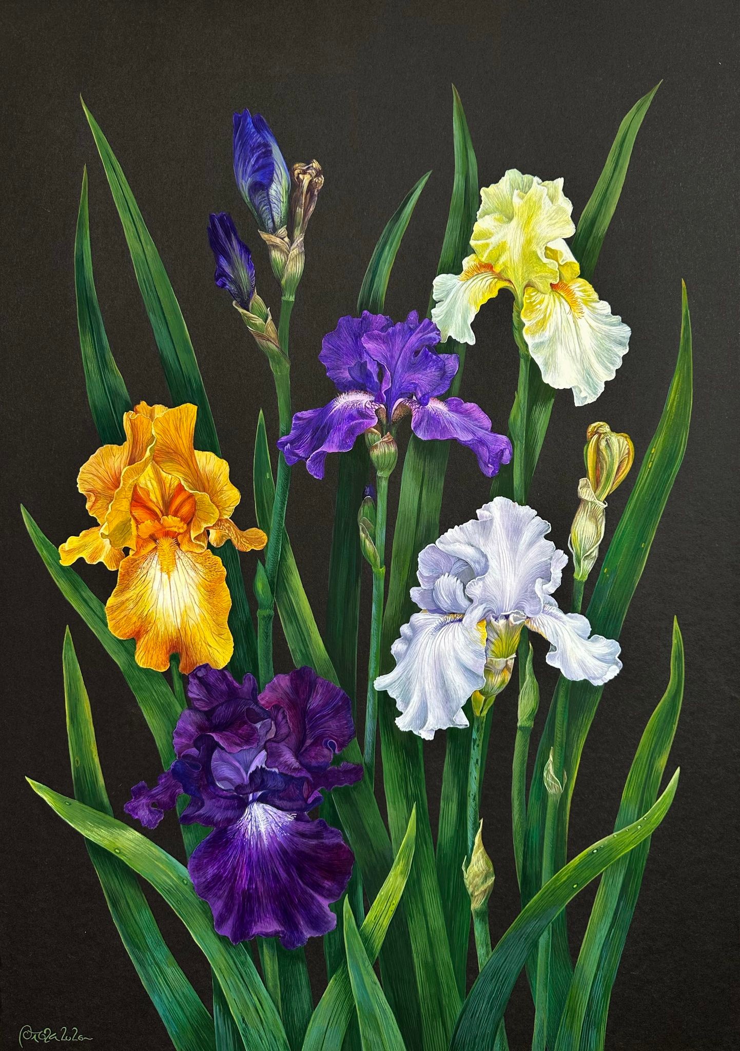 Artist shares iris painting from Ukraine