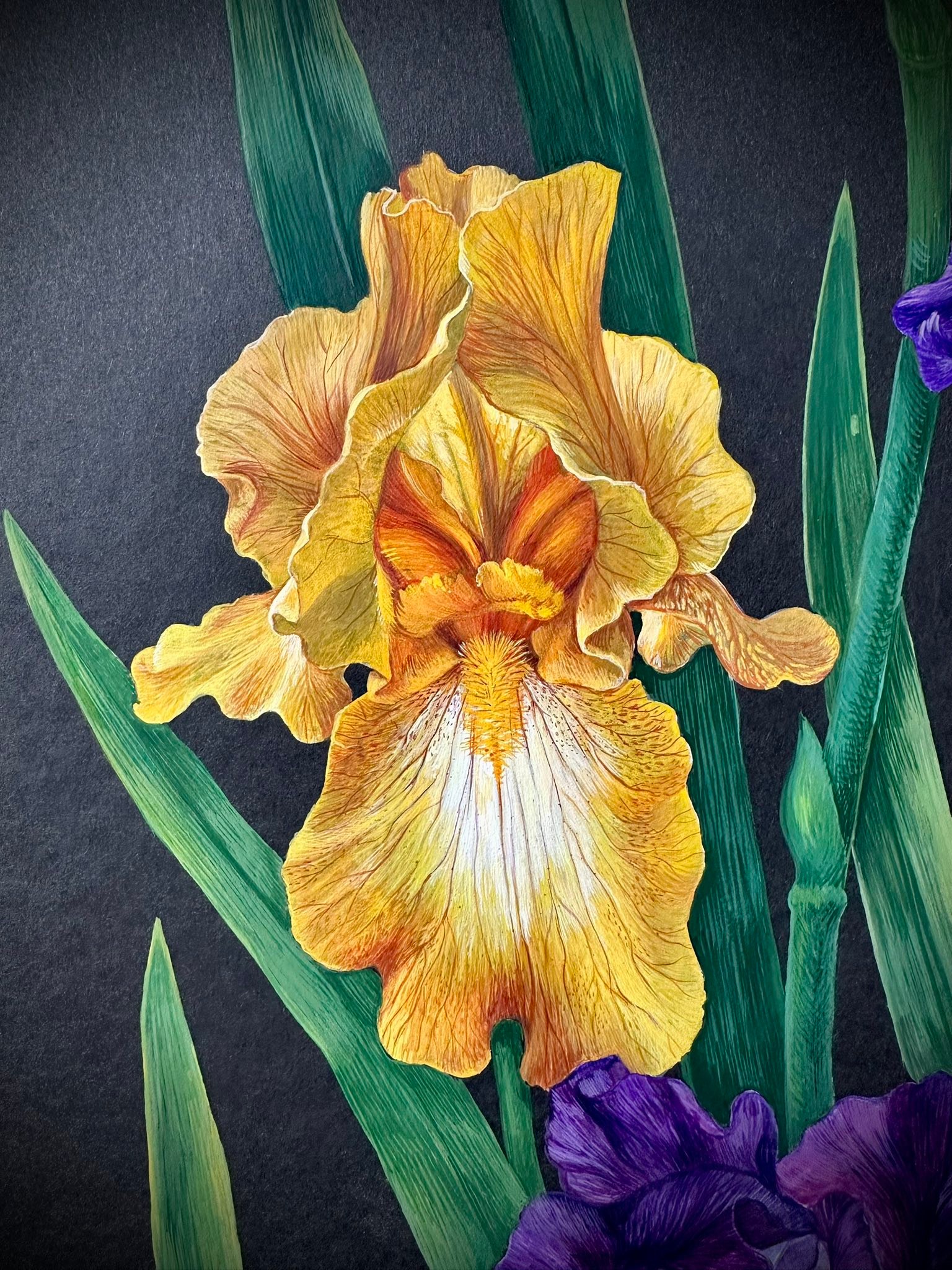 Artist shares iris painting from Ukraine