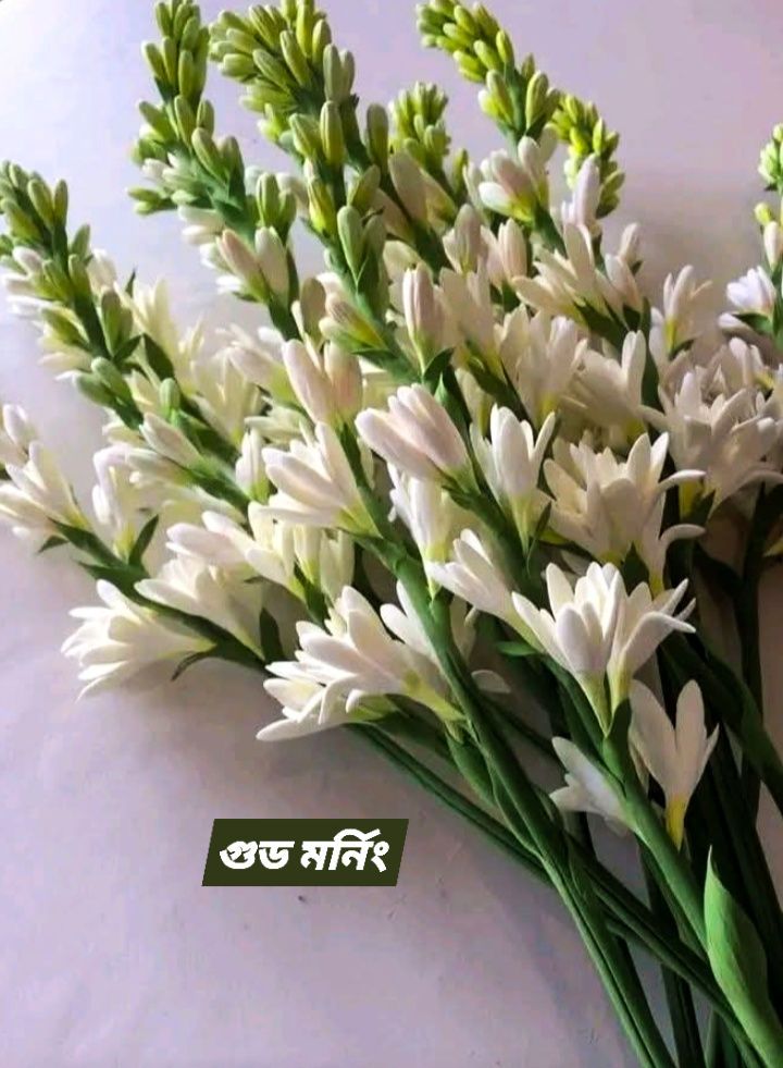 Humayun Kabir Raza